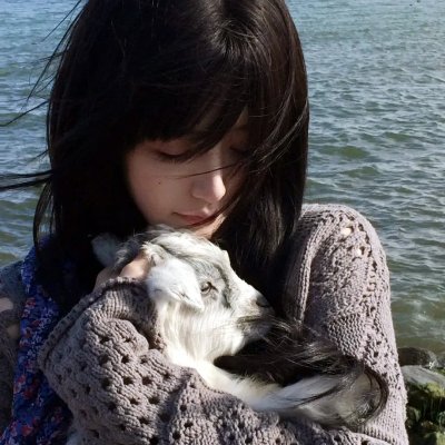 孤雏泪